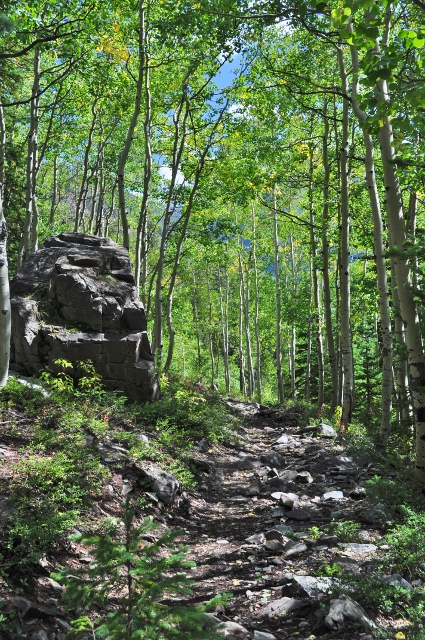 on the Crater Lake Trail